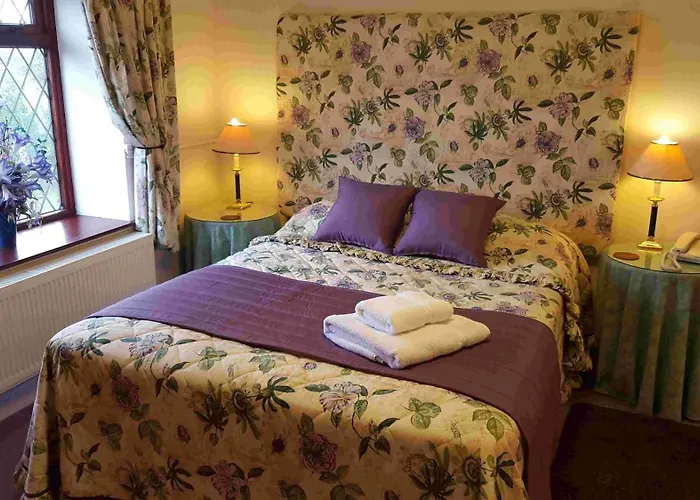 West Camel Hotels