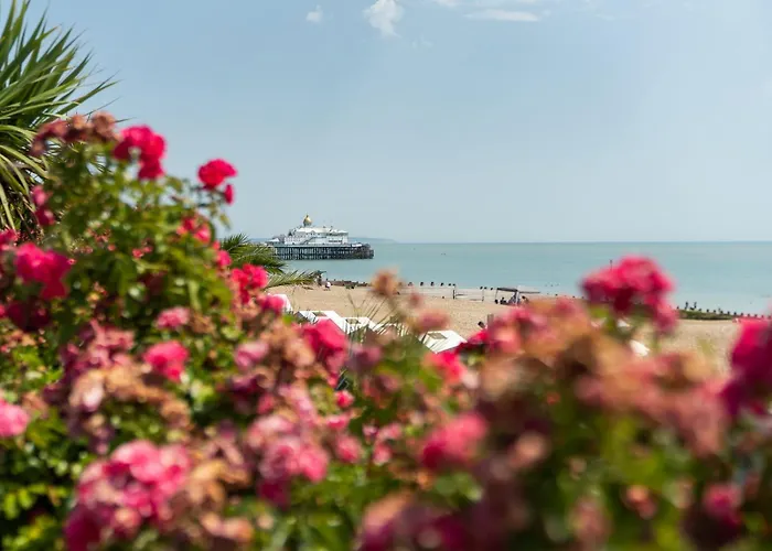 Dungeness Hotels