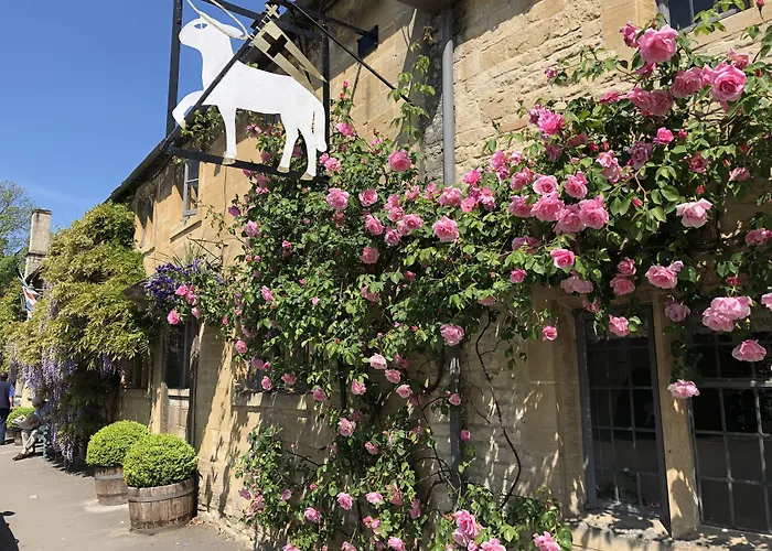 Burford Hotels