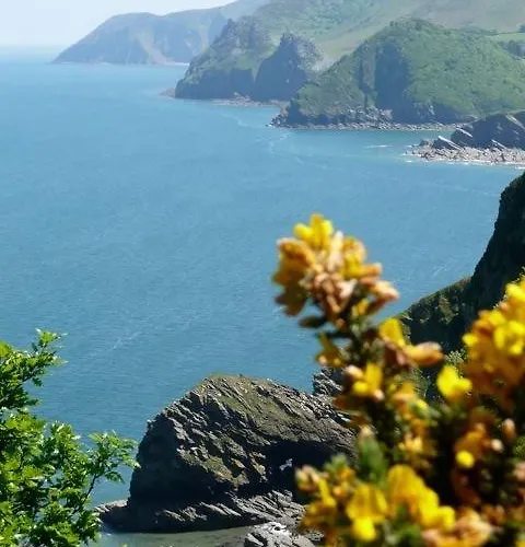 Mellstock House Hotel Ilfracombe