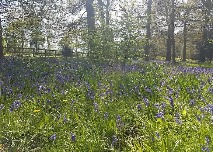 Kelham House Country Manor Hotel Newark-on-Trent 