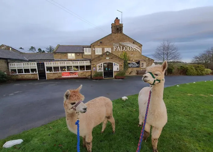 Ravenscar Hotels